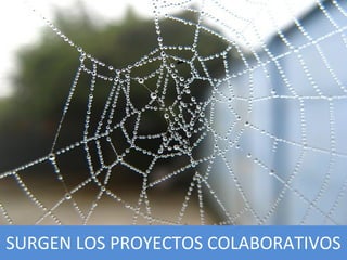 SURGEN LOS PROYECTOS COLABORATIVOS
 