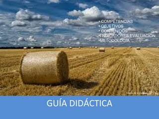 GUÍA DIDÁCTICA
Crédito de la imagen
• COMPETENCIAS
• OBJETIVOS
• CONTENIDOS
•I NDICADORES EVALUACIÓN
•METODOLOGÍA
 