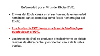 Enfermedad por el Virus del Ebola (EVE).
• El virus del Ebola causa en el ser humano la enfermedad
homónima (antes conocida como fiebre hemorrágica del
Ebola).
• Los brotes de EVE tienen una tasa de letalidad que
puede llegar al 90%.
• Los brotes de EVE se producen principalmente en aldeas
remotas de África central y occidental, cerca de la selva
tropical.
 