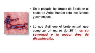 • En el pasado, los brotes de Ebola en el
oeste de África habían sido localizados
y contenidos.
• Lo que distingue el brote actual, que
comenzó en marzo de 2014, es su
severidad y la mayor área de
diseminación.
 