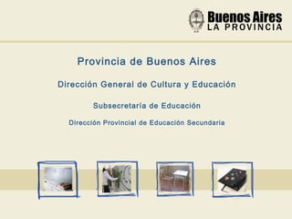 Provincia de Buenos Aires
Dirección General de Cultura y Educación
Subsecretaría de Educación
Dirección Provincial de Educación Secundaria
 