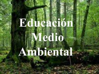 Educación 
Medio 
Ambiental 
 