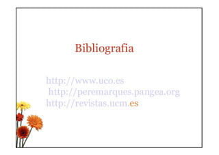 Educacion multimedia