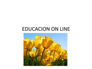 EDUCACION ON LINE
 