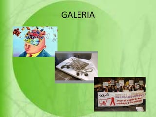 GALERIA
 