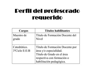 Perfil del profesorado requerido