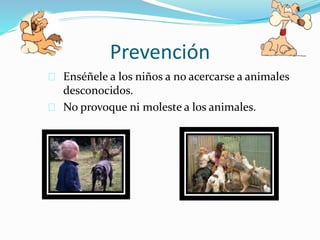 Prevención
Enséñele a los niños a no acercarse a animales
desconocidos.
No provoque ni moleste a los animales.
 