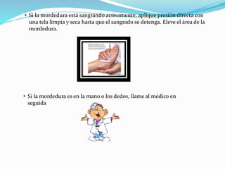 • Si la mordedura está sangrando activamente, aplique presión directa con
una tela limpia y seca hasta que el sangrado se detenga. Eleve el área de la
mordedura.
• Si la mordedura es en la mano o los dedos, llame al médico en
seguida
 