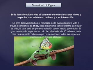 Diversidad biológica
Se le llama biodiversidad al conjunto de todos los seres vivos y
especies que existen en la tierra y a su interacción.
La gran biodiversidad es el resultado de la evolución de la vida a
través de millones de años, cada organismo tiene su forma particular
de vida, la cual está en perfecta relación con el medio que habita. El
gran número de especies se calculan alrededor de 30 millones; esta
cifra no es exacta debido a que no se conocen todas las especies
existentes en nuestro planeta.
 