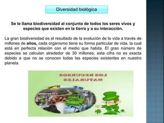 Diversidad biológica
Se le llama biodiversidad al conjunto de todos los seres vivos y
especies que existen en la tierra y a su interacción.
La gran biodiversidad es el resultado de la evolución de la vida a través de
millones de años, cada organismo tiene su forma particular de vida, la cual
está en perfecta relación con el medio que habita. El gran número de
especies se calculan alrededor de 30 millones; esta cifra no es exacta
debido a que no se conocen todas las especies existentes en nuestro
planeta.
 