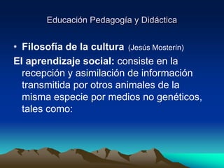 Educación Pedagogía y Didáctica
• Filosofía de la cultura (Jesús Mosterín)
El aprendizaje social: consiste en la
recepción y asimilación de información
transmitida por otros animales de la
misma especie por medios no genéticos,
tales como:
 