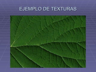 EJEMPLO DE TEXTURAS 