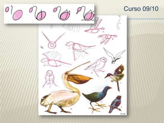 Pájaros exóticos. Ilustraciones basadas en círculos y arcos.
