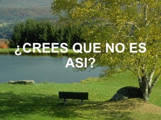 ¿CREES QUE NO ES ASI? 