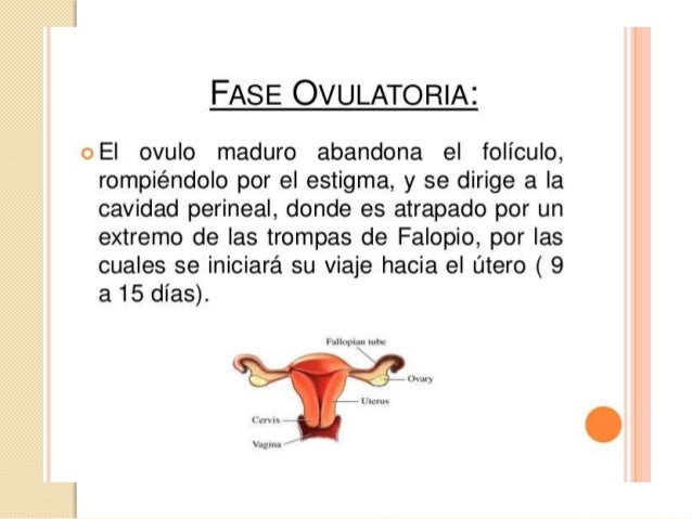 Han curado las lamblias y la alergia ha pasado