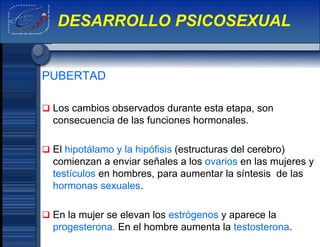 PUBERTAD
 Los cambios observados durante esta etapa, son
consecuencia de las funciones hormonales.
 El hipotálamo y la hipófisis (estructuras del cerebro)
comienzan a enviar señales a los ovarios en las mujeres y
testículos en hombres, para aumentar la síntesis de las
hormonas sexuales.
 En la mujer se elevan los estrógenos y aparece la
progesterona. En el hombre aumenta la testosterona.
DESARROLLO PSICOSEXUAL
 