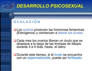 O V U L A C I Ó N
 Los ovarios producen las hormonas femeninas
(Estrógenos) y comienzan a liberar los óvulos.
 Cada mes los ovarios liberan un óvulo que se
desplaza a lo largo de las trompas de falopio
durante 3 a 4 días, hasta el útero.
 Durante este tiempo, si el óvulo se encuentra
con un espermatozoide, puede ser fertilizado.
DESARROLLO PSICOSEXUAL
 