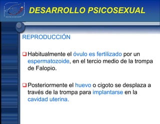 REPRODUCCIÓN
Habitualmente el óvulo es fertilizado por un
espermatozoide, en el tercio medio de la trompa
de Falopio.
Posteriormente el huevo o cigoto se desplaza a
través de la trompa para implantarse en la
cavidad uterina.
DESARROLLO PSICOSEXUAL
 