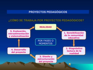 PROYECTOS PEDAGÓGICOS ¿CÓMO SE TRABAJA POR PROYECTOS PEDAGÓGICOS? 5. Evaluación,  retroalimentación y sistematización 1. Sensibilización de la comunidad educativa POR FASES O MOMENTOS REALIDAD 2. Diagnóstico lectura de la realidad 3. Diseño y estructuración del proyecto 4. Desarrollo del proyecto 