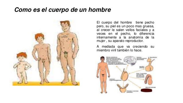 Porno hd las asiáticas el pequeño miembro