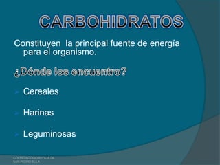 Constituyen la principal fuente de energía
  para el organismo.



    Cereales

    Harinas

    Leguminosas

COLPEDAGOGOSH FILIA DE
SAN PEDRO SULA
 