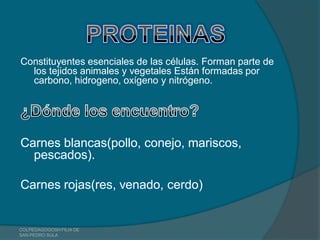 Constituyentes esenciales de las células. Forman parte de
  los tejidos animales y vegetales Están formadas por
  carbono, hidrogeno, oxígeno y nitrógeno.




Carnes blancas(pollo, conejo, mariscos,
  pescados).

Carnes rojas(res, venado, cerdo)


COLPEDAGOGOSH FILIA DE
SAN PEDRO SULA
 