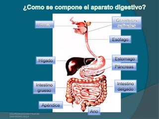 COLPEDAGOGOSH FILIA DE
SAN PEDRO SULA
 