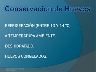 COLPEDAGOGOSH FILIA DE
SAN PEDRO SULA
 