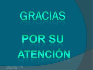 COLPEDAGOGOSH FILIA DE
SAN PEDRO SULA
 