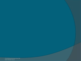 COLPEDAGOGOSH FILIA DE
SAN PEDRO SULA
 