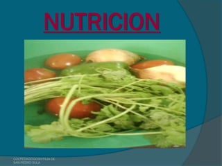 NUTRICION




COLPEDAGOGOSH FILIA DE
SAN PEDRO SULA
 