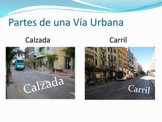 Partes de una Vía UrbanaCalzadaCarrilCalzadaCarril