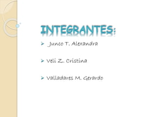  Junco T. Alexandra
 Veli Z. Cristina
 Valladares M. Gerardo
 