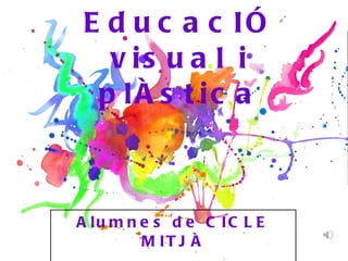 EducacIÓ visual i plÀstica Alumnes de CICLE MITJÀ 