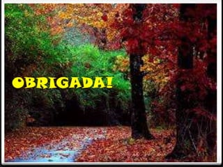 OBRIGADA!

 