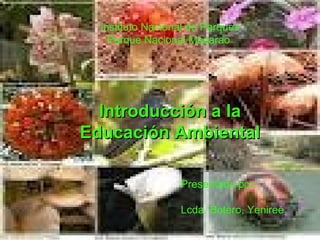 Instituto Nacional de Parques
    Parque Nacional Macarao




  Introducción a la
Educación Ambiental

                  Presentado por:

                  Lcda. Botero, Yenireé
 