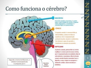 Como funciona o cérebro?
3
 