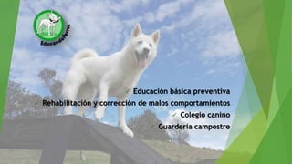  Educación básica preventiva
 Rehabilitación y corrección de malos comportamientos
 Colegio canino
 Guardería campestre
 