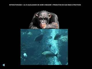 INTERATIVIDADE + ALTA QUALIDADE DE SOM E IMAGEM = PRODUTOS DE EAD MAIS ATRATIVOS 