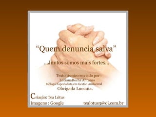 “ Quem denuncia salva”   ...Juntos somos mais fortes...   Texto técnico enviado por :   LucianaRocha Antunes   Bióloga Especialista em Gestão Ambiental   Obrigada Luciana.   C riação: Tea Lótus   Imagens : Google  [email_address] 