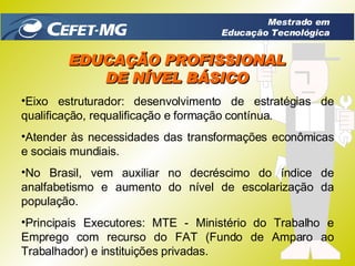 EDUCAÇÃO PROFISSIONAL DE NÍVEL BÁSICO Eixo estruturador: desenvolvimento de estratégias de qualificação, requalificação e formação contínua. Atender às necessidades das transformações econômicas e sociais mundiais. No Brasil, vem auxiliar no decréscimo do índice de analfabetismo e aumento do nível de escolarização da população.  Principais Executores: MTE - Ministério do Trabalho e Emprego com recurso do FAT (Fundo de Amparo ao Trabalhador) e instituições privadas. Mestrado em Educação Tecnológica 