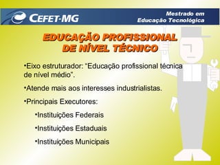 Eixo estruturador:  “Educação profissional técnica de nível médio”. Atende mais aos interesses industrialistas. Principais Executores: Instituições Federais Instituições Estaduais Instituições Municipais EDUCAÇÃO PROFISSIONAL DE NÍVEL TÉCNICO Mestrado em Educação Tecnológica 