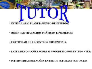 ESTIMULAR O PLANEJAMENTO DE ESTUDOS; ORIENTAR TRABALHOS PRÁTICOS E PROJETOS; PARTICIPAR DE ENCONTROS PRESENCIAIS; FAZER DEVOLUÇÕES SOBRE O PROGRESSO DOS ESTUDANTES;  INTERMEDIAR RELAÇÕES ENTRE OS ESTUDANTES E O CED. TUTOR 