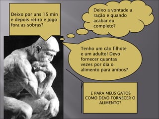 Deixo a vontade a ração e quando acabar eu completo? Deixo por uns 15 min e depois retiro e jogo fora as sobras?  Tenho um cão filhote e um adulto! Devo fornecer quantas vezes por dia o alimento para ambos? E PARA MEUS GATOS COMO DEVO FORNECER O ALIMENTO? 