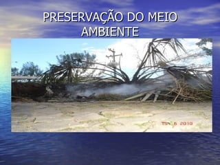 PRESERVAÇÃO DO MEIO
     AMBIENTE
 