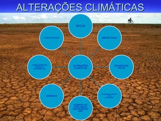 AALLTTEERRAAÇÇÕÕEESS CCLLIIMMÁÁTTIICCAASS 
 