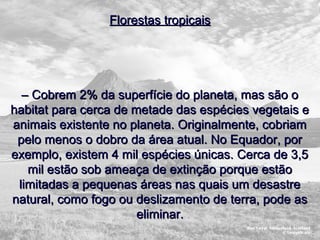 FFlloorreessttaass ttrrooppiiccaaiiss 
–– CCoobbrreemm 22%% ddaa ssuuppeerrffíícciiee ddoo ppllaanneettaa,, mmaass ssããoo oo 
hhaabbiittaatt ppaarraa cceerrccaa ddee mmeettaaddee ddaass eessppéécciieess vveeggeettaaiiss ee 
aanniimmaaiiss eexxiisstteennttee nnoo ppllaanneettaa.. OOrriiggiinnaallmmeennttee,, ccoobbrriiaamm 
ppeelloo mmeennooss oo ddoobbrroo ddaa áárreeaa aattuuaall.. NNoo EEqquuaaddoorr,, ppoorr 
eexxeemmpplloo,, eexxiisstteemm 44 mmiill eessppéécciieess úúnniiccaass.. CCeerrccaa ddee 33,,55 
mmiill eessttããoo ssoobb aammeeaaççaa ddee eexxttiinnççããoo ppoorrqquuee eessttããoo 
lliimmiittaaddaass aa ppeeqquueennaass áárreeaass nnaass qquuaaiiss uumm ddeessaassttrree 
nnaattuurraall,, ccoommoo ffooggoo oouu ddeesslliizzaammeennttoo ddee tteerrrraa,, ppooddee aass 
eelliimmiinnaarr.. 
 