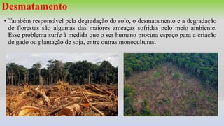 Desmatamento
• Também responsável pela degradação do solo, o desmatamento e a degradação
de florestas são algumas das maiores ameaças sofridas pelo meio ambiente.
Esse problema surfe à medida que o ser humano procura espaço para a criação
de gado ou plantação de soja, entre outras monoculturas.
 