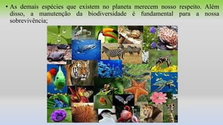 • As demais espécies que existem no planeta merecem nosso respeito. Além
disso, a manutenção da biodiversidade é fundamental para a nossa
sobrevivência;
 