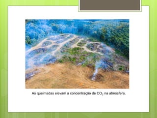 As queimadas elevam a concentração de CO2 na atmosfera.
 
